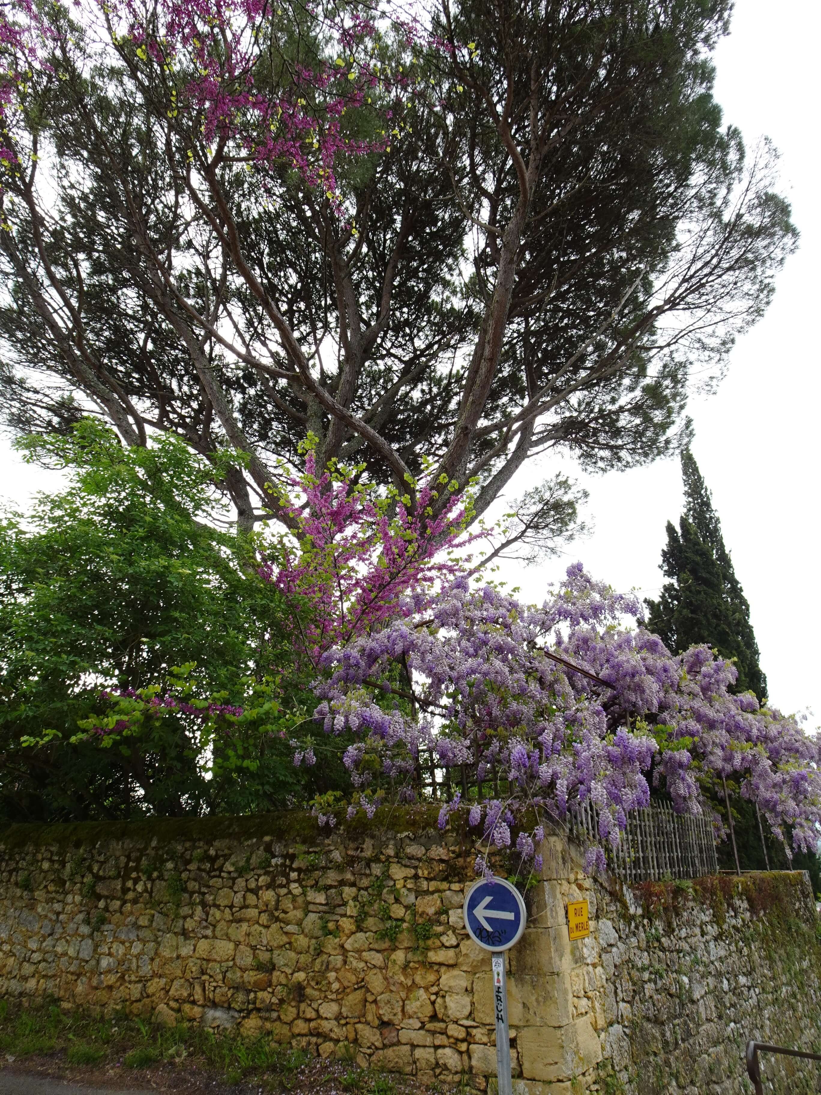 2026 04 14 voyage dans le lot domme 27 