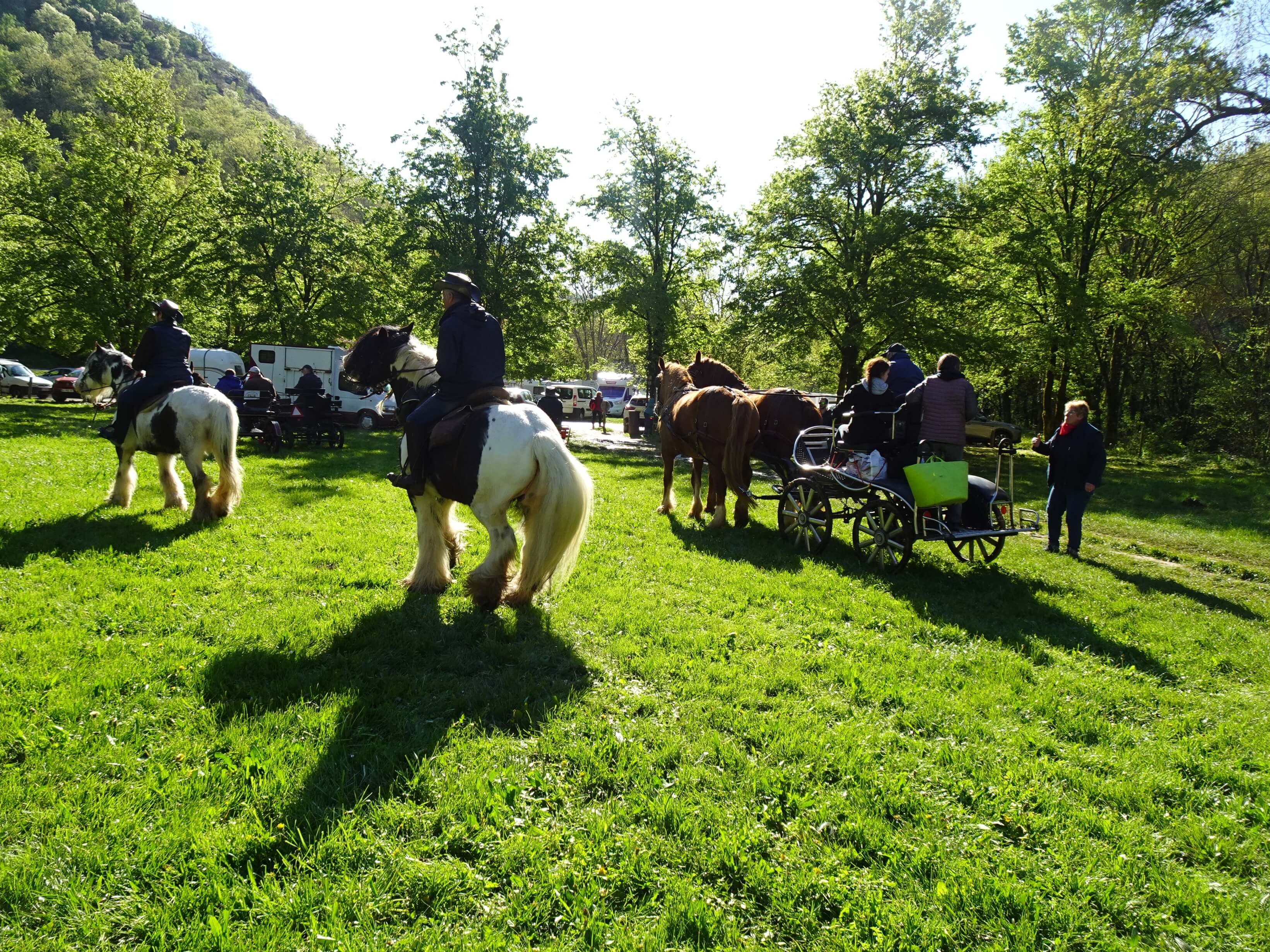 2026 04 14 voyage perigord transhumance 18 