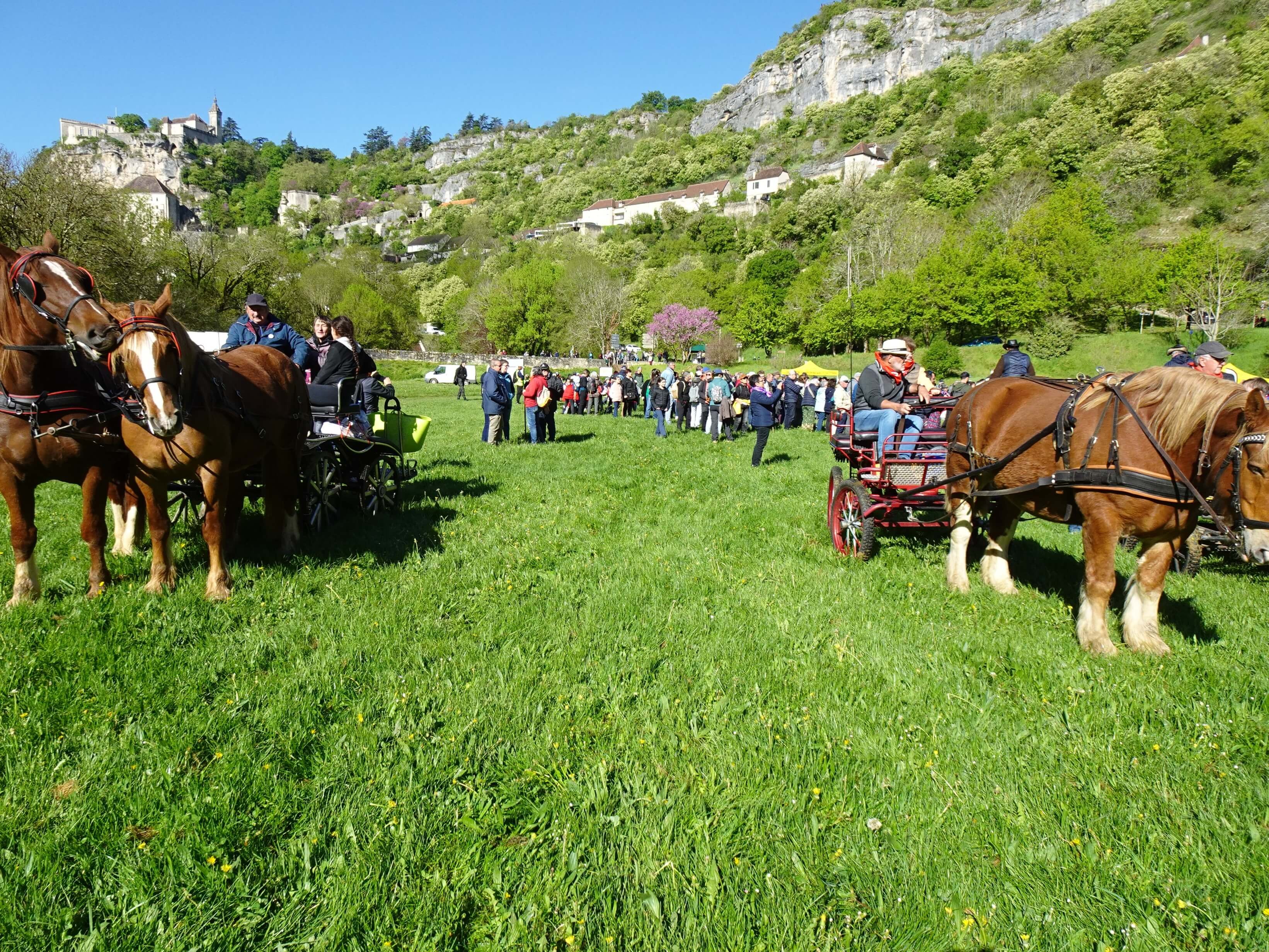 2026 04 14 voyage perigord transhumance 19 