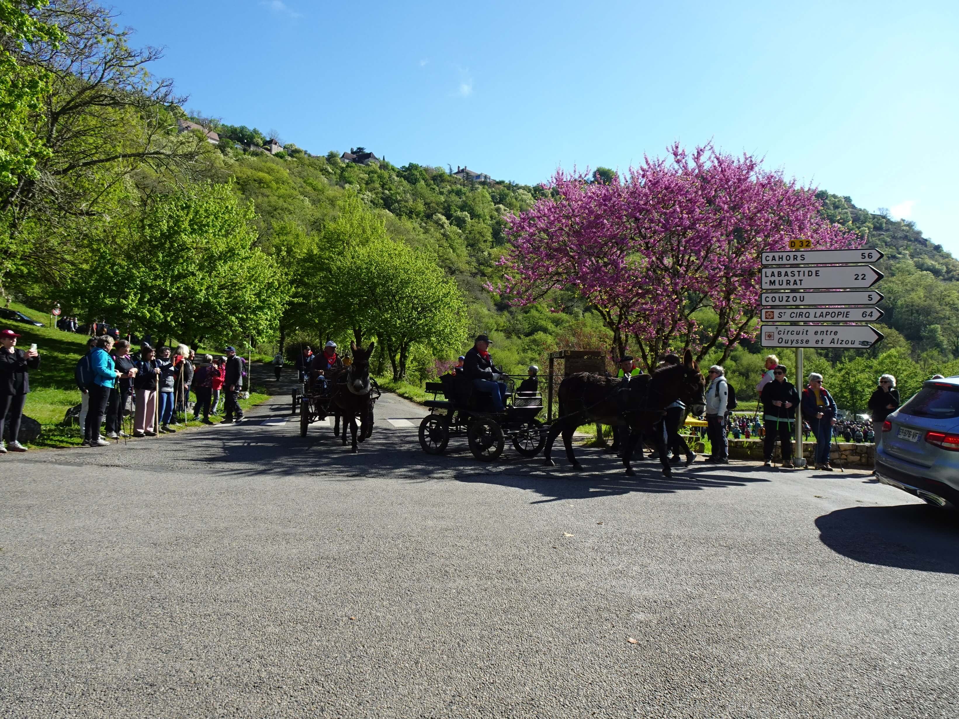2026 04 14 voyage perigord transhumance 25 