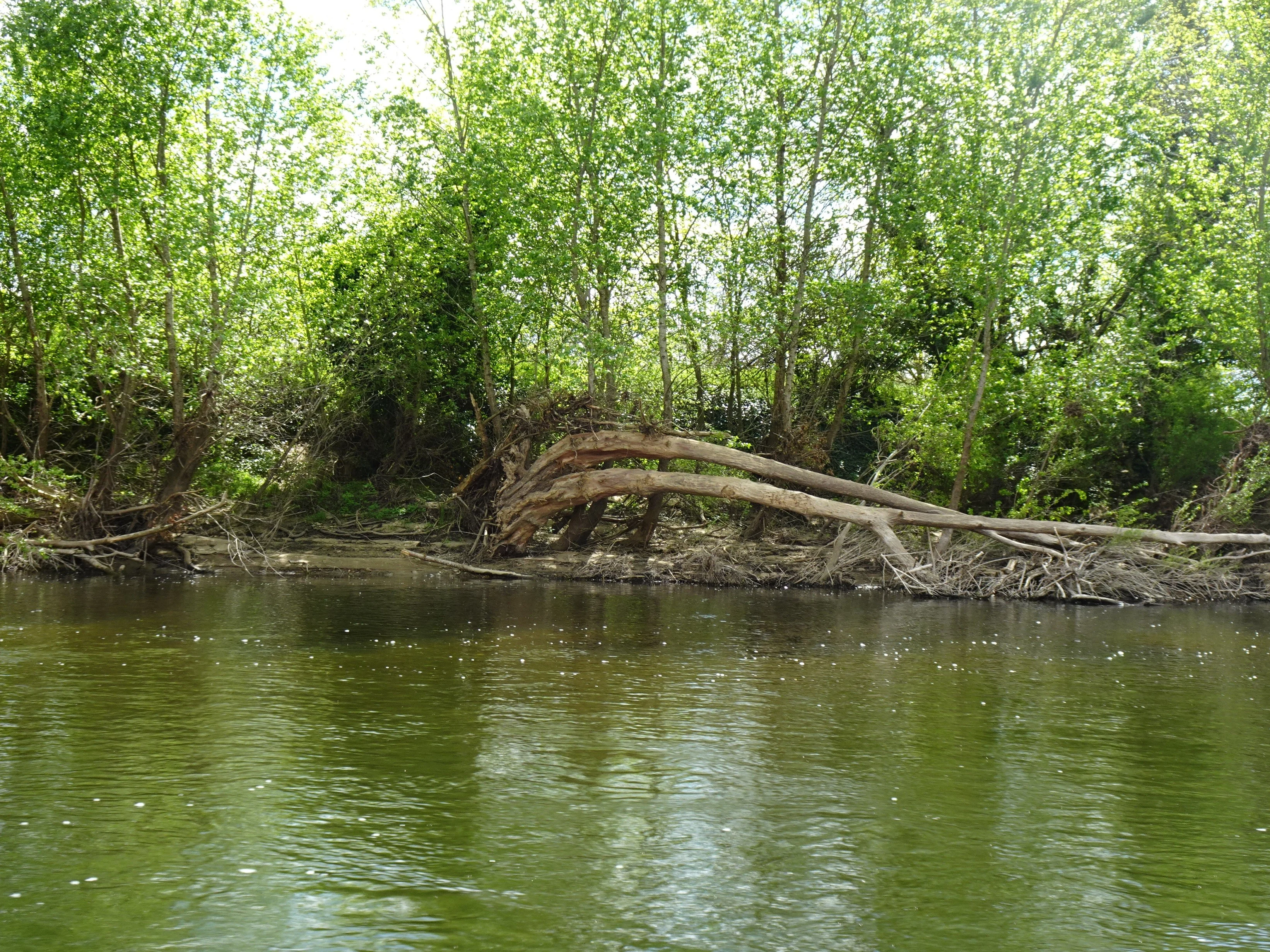 2026 04 15 voyage dans le lot la roque gageac 32 