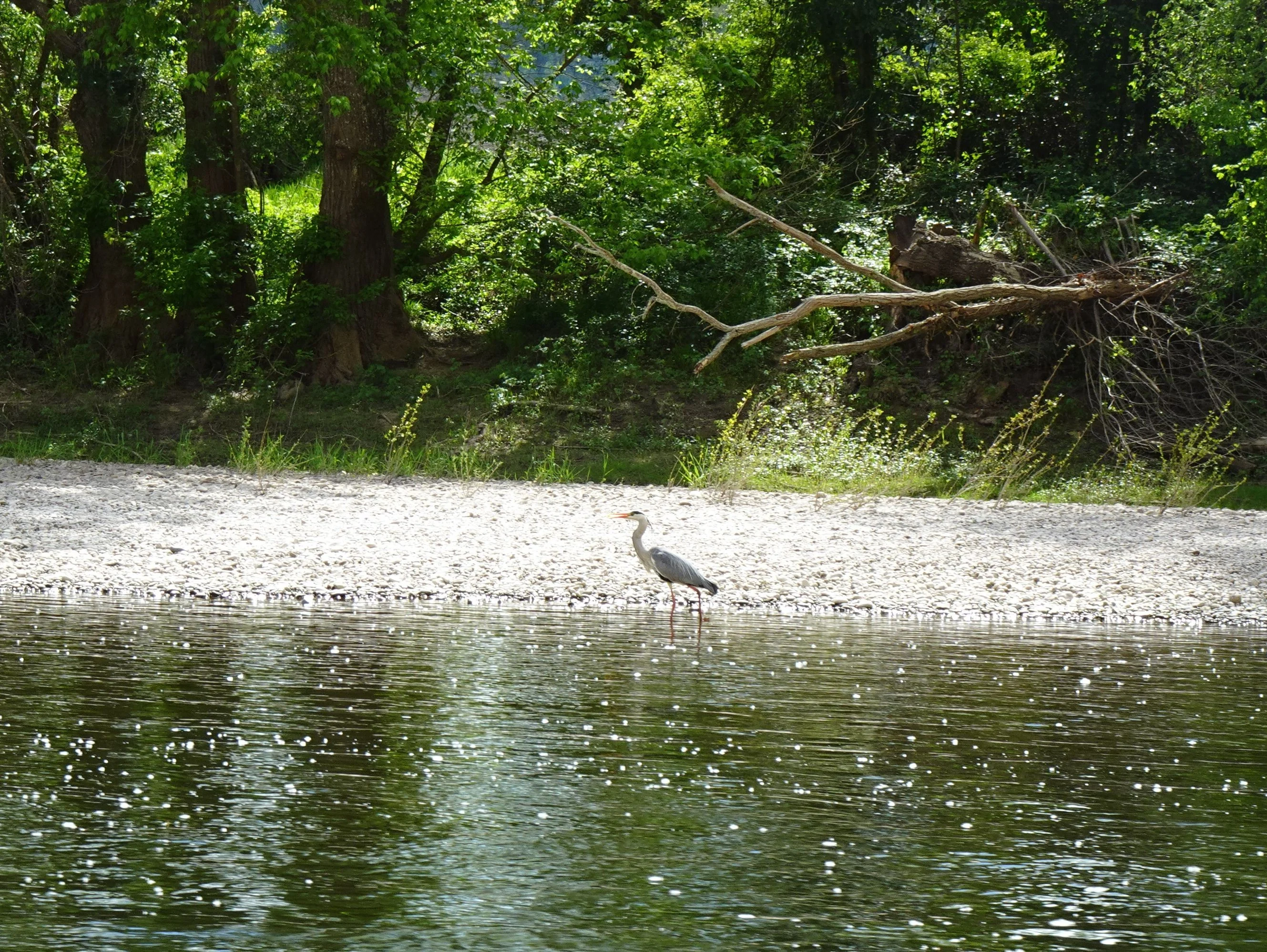 2026 04 15 voyage dans le lot la roque gageac 33 